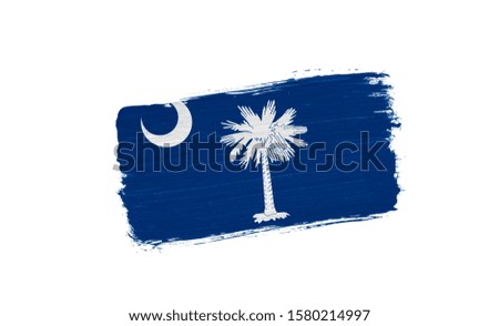 brush painted flag State of South Carolina isolated on white background