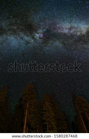 Crispy detailed night starry sky with stars and Milky Way above forest in Canada