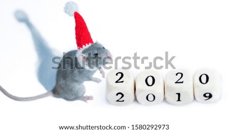 2020 year of the rat. Greeting card with New Year 2020 with blue rat and wooden cubes change from 2019 to 2020.