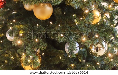 Beautiful christmas decoration at pine trees