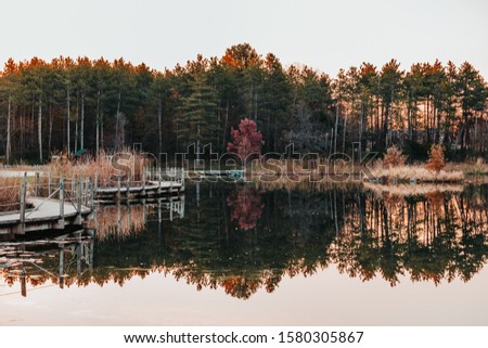 A wooden boardwalk alongside calm pond water reflections as the morning sun illuminates from behind the pines. A beautiful autumn landscape at Jester Park, Iowa, USA.
