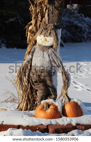 pumpkins and scarecrow by tree