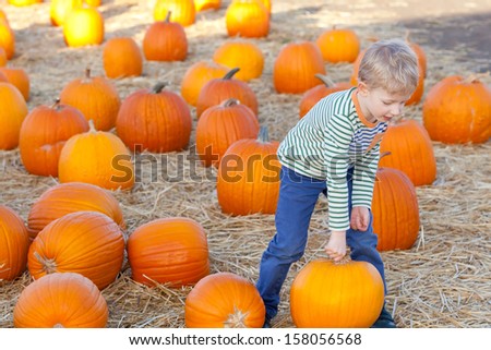 cute positive boy holding pumpkin at the pumpkin patch
