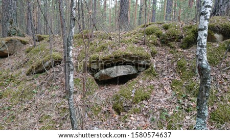Cave in the forest. The photo