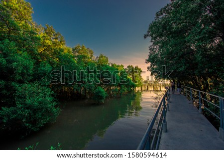 The blurred abstract background of the atmosphere is surrounded by mangroves, with a bridge to see the scenery along the way, the abundance of forests.