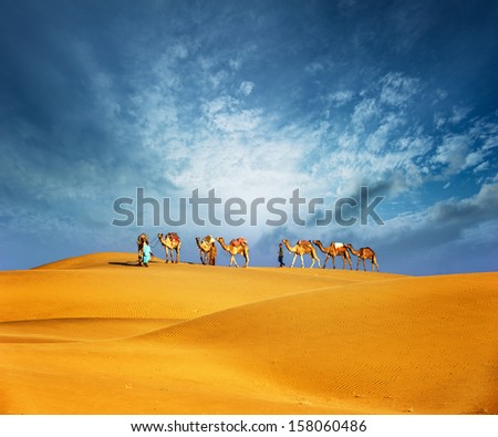 Dubai desert camel safari. Arab culture, tradition and tourism landscape. Arabian people traveling on sand dunes journey background