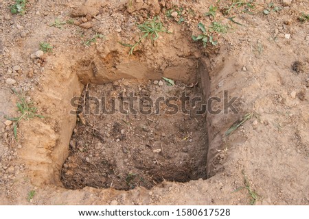 The gardener makes a hole in the ground for planting trees               