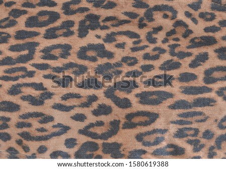Leopard Seamless Pattern. Texture,close up
