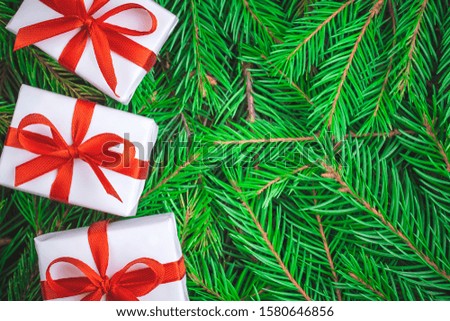 Top view on three white gift boxes tied with a red satin ribbon with a bow on fluffy green spruce branches with copy space. Christmas, New Year greeting card concept.