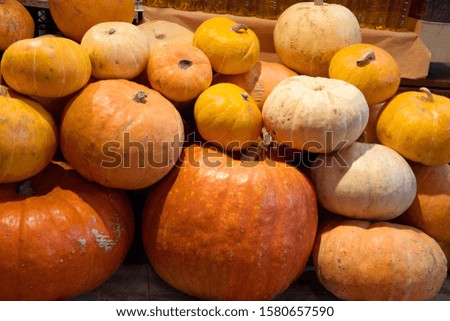 Many pumpkins on a store counter.