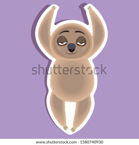 funny sloth in different poses isolated on  background
