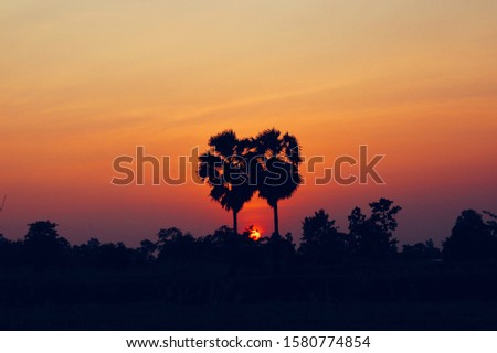 Sunset clouds and sky background