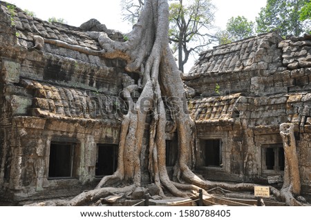 View of ancient ruins of Ta Prohm temple, Cambodia