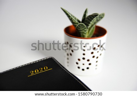 Image of a new year's agenda with a decorative plant.