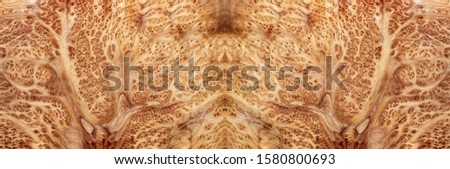 Real burl wood striped, Exotic wooden beautiful pattern for crafts or abstract art background texture