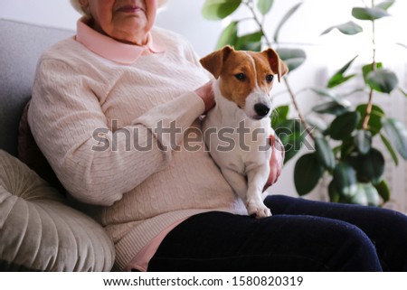 Emotional support animal concept. Portrait of elderly woman with jack russell terrier dog. Old lady and her pet sittinng on grey textile sofa. Close up, copy space, background.