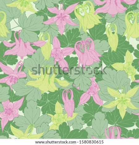 Flowers, buds and leaves of Aquilegia, seamless vector illustration