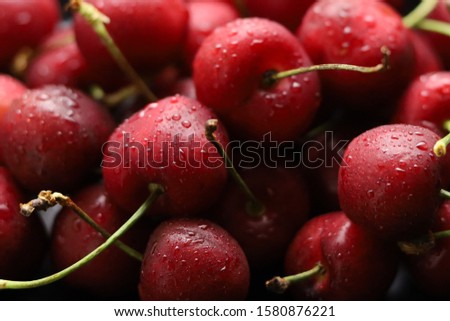 Bright red cherries covered with water droplets. Photos from above, the red background.