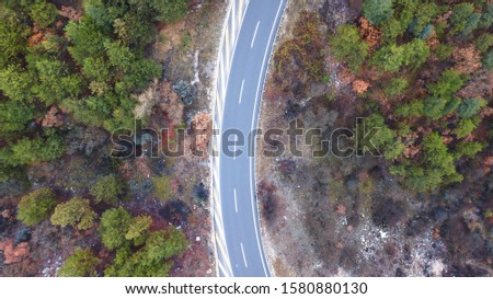 top view road and tree