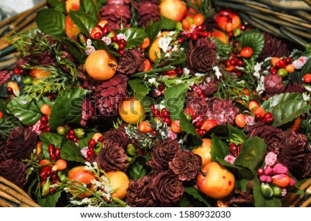 Christmas aromatic plants decorations and ornaments, colorful autumn and winter decorations. Brown, red and yellow, green festive accessories, natural apples, cones