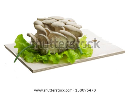 Fresh Fungus with salad leaves