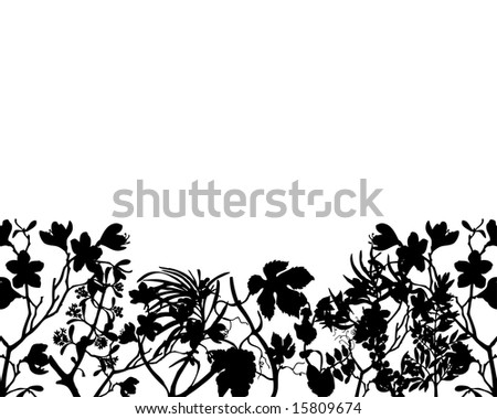 Grass silhouette ornate on the white background