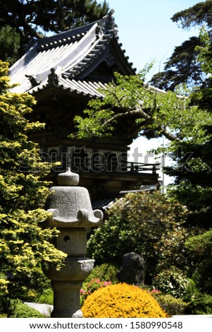 Oriental garden pictures with trees and typical vegetation