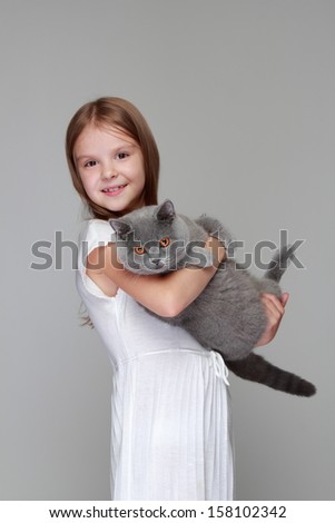 Studio image of a cheerful little girl played with a British breed of cat on a gray background