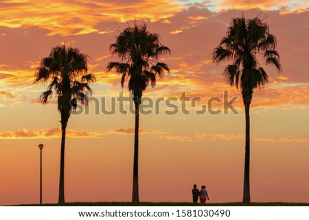 Several palm trees on a background of bright golden sunset 