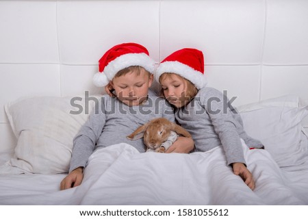 Funny child boy and girl in Santa Clause hat and pajamas waking up in bed with pet rabbit as Christmas present. Happy children hugging bunny gift. Happy Xmas and New Year holiday morning!