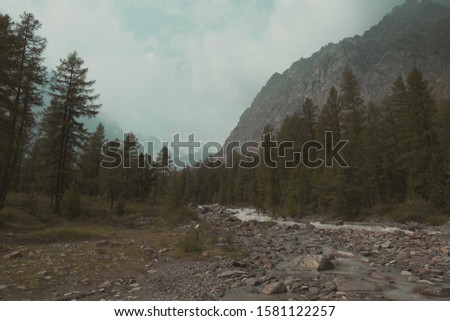 Late evening in the mountains. Gloomy photo of nature. Misty mountain valley with snowy peaks. Frightening twilight in the mountains. To get lost in the forest.