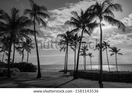 Maui Hawaii Ocean View Landscape