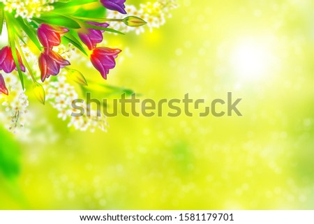 Natural floral background of spring bright flowers.
