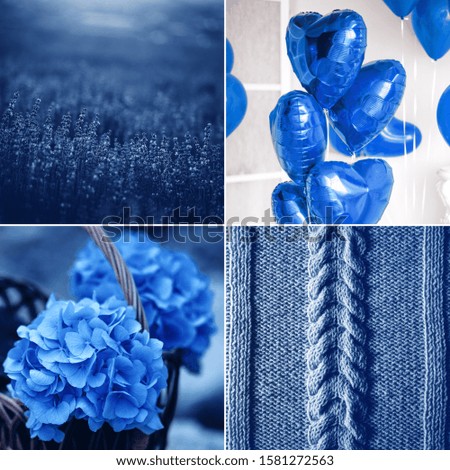 Collage toned in blue trendy color 2020. Inspiration pictures.