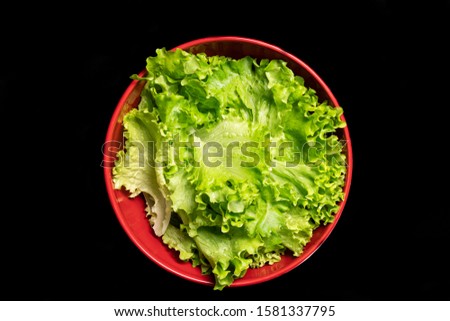 Batavia, beautiful fresh salad, in a big red salad bowl, on black background Royalty-Free Stock Photo #1581337795