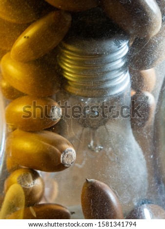 Light bulb with acorns in vase