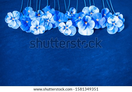 Pansy Flowers. Blue Flowers on Navy Blue Texture. Top view, Flat lay, Copy Space. Classic Blue Background
