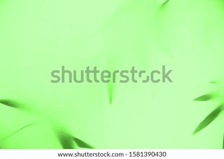 Plant under glass. Colorful background.