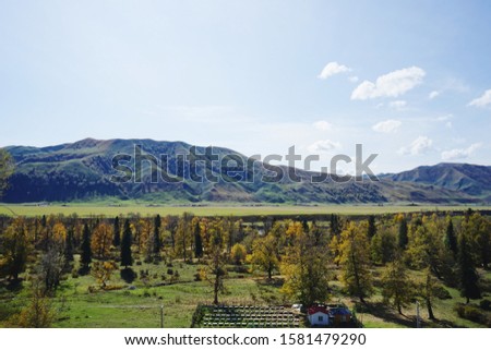grassland scenery with forest and mountains in sunny day