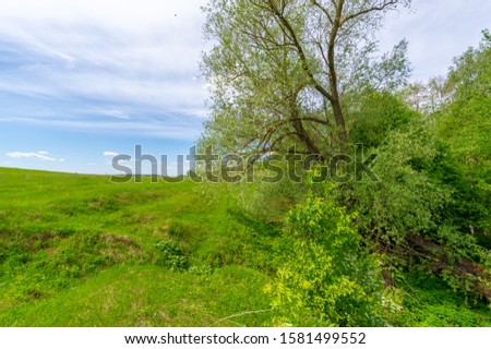 Spring photography, an old ravine formed by melting snow and summer rains. Deciduous forest of walnut, oak, birch, mountain ash and linden grows around the edges. Bright gentle sky with white clouds