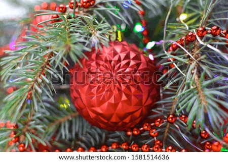 Red ball on the Christmas tree. Close-up.