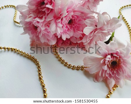 postcard pink flowers blooming on white background