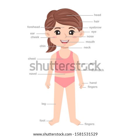 Illustration of boy body parts Stock Photo 104942816 - Avopix.com