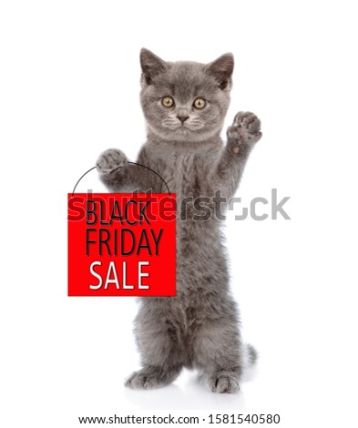 Cat holds shopping bag with black friday text and looks at camera. isolated on white background
