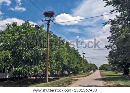 Stork above the pillars of the electric light and power conductors through the village.The nest is basically the work of human hands and placed on a pole and the birds have planted the nest themselves