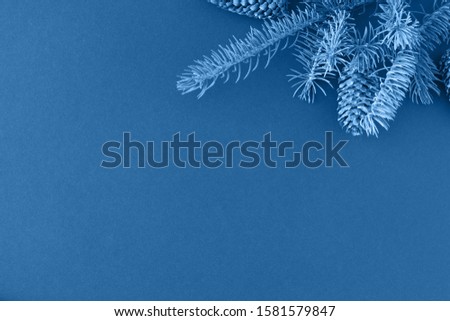 Creative layout made of Christmas tree branches on Classic blue paper background. Flat lay. Top vew. Nature New Year concept.