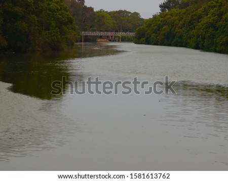 Cooks river foreshore in Sydney’s western suburbs 