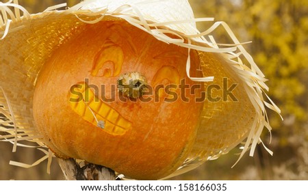 smiling pumpkin in hat