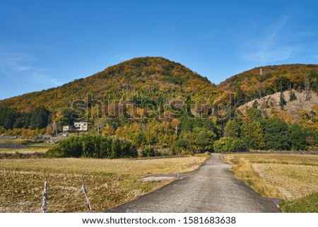 Mountain of autumn leaves of Izu Peninsula
Shizuoka Prefecture scenery