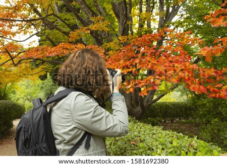 A women photographer takes pictures in the park in the morning, and she is focused a big tree full of autumn color leafs. She is back at the point of view and wear a backpack